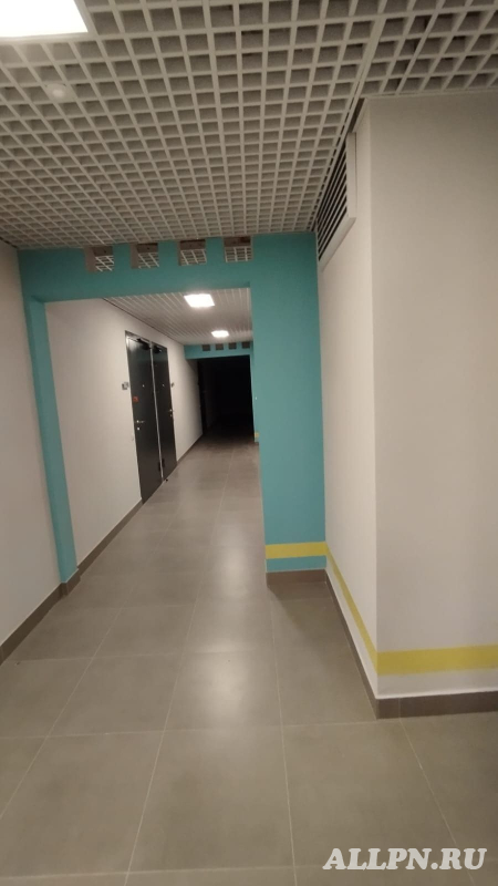   20.6    ,   243 -  ,   -